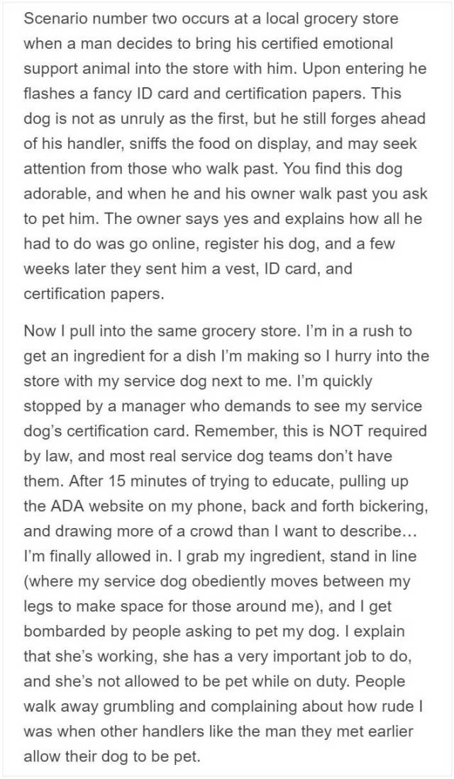 Service Dog Trainer Talks About Why Fake Service Dogs Are A Real Problem