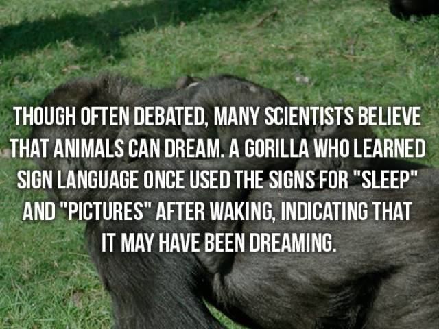 Facts That Are Too Crazy To Be True (24 pics) - Izismile.com