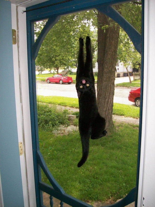 Daily Picdump
