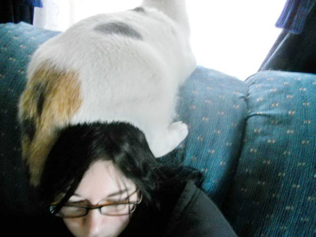 Daily Picdump