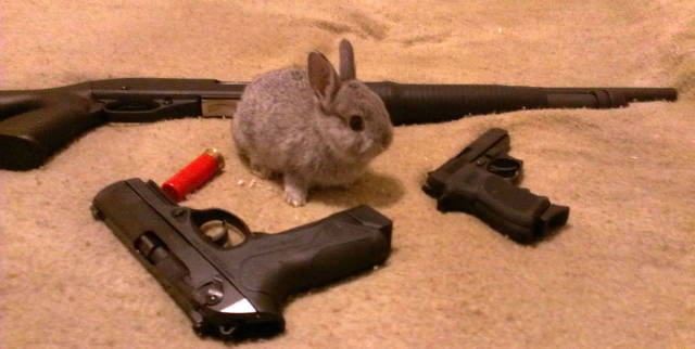 Daily Picdump
