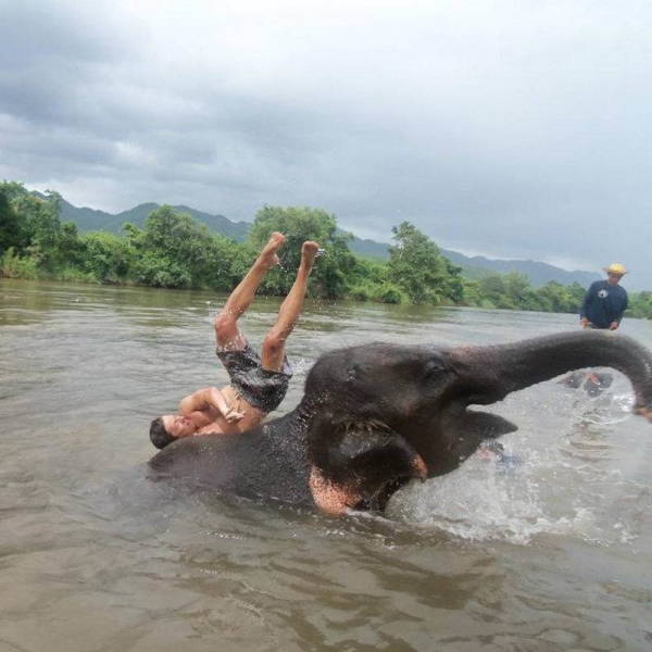Daily Picdump
