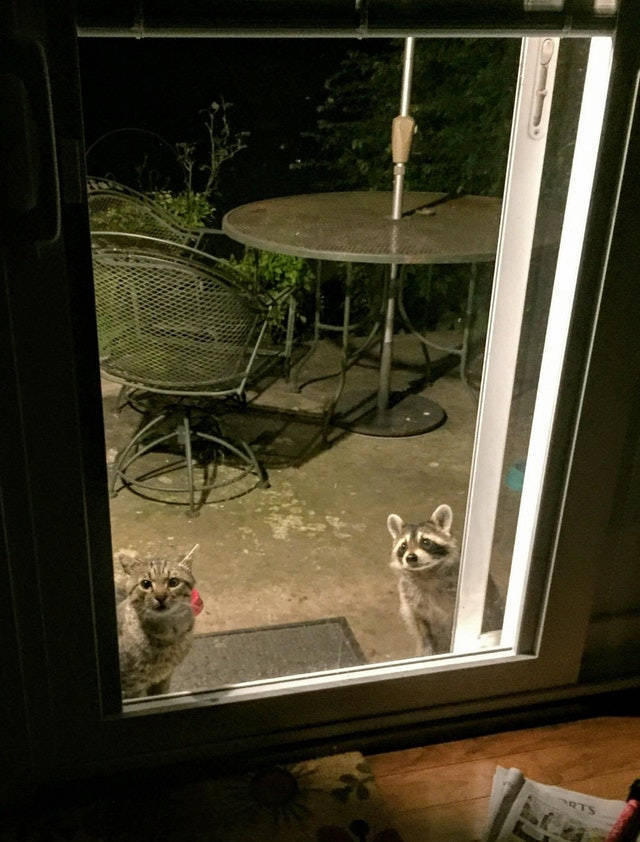 Daily Picdump