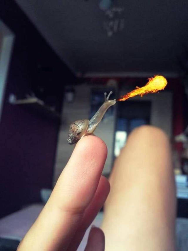 Daily Picdump