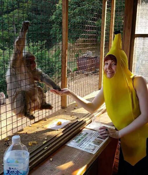 Daily Picdump
