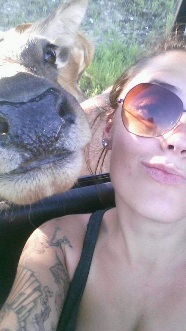 Daily Picdump