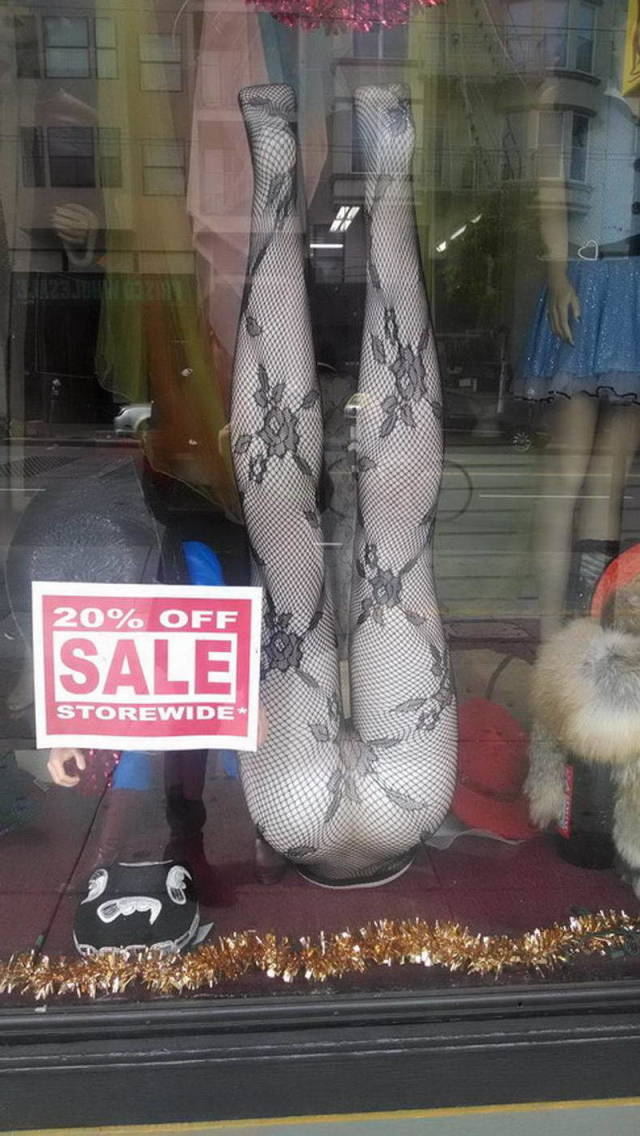 Daily Picdump