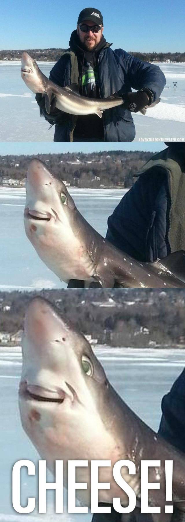 Daily Picdump