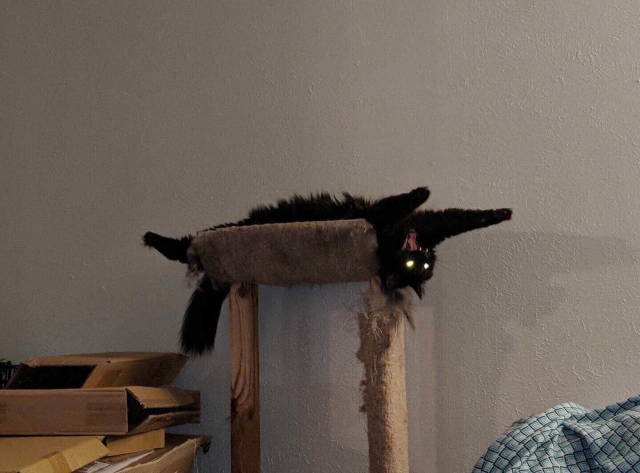 Daily Picdump