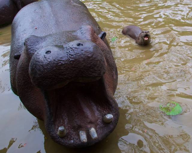 Daily Picdump