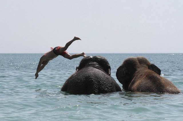 Daily Picdump