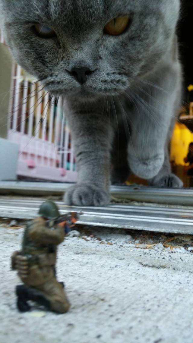Daily Picdump