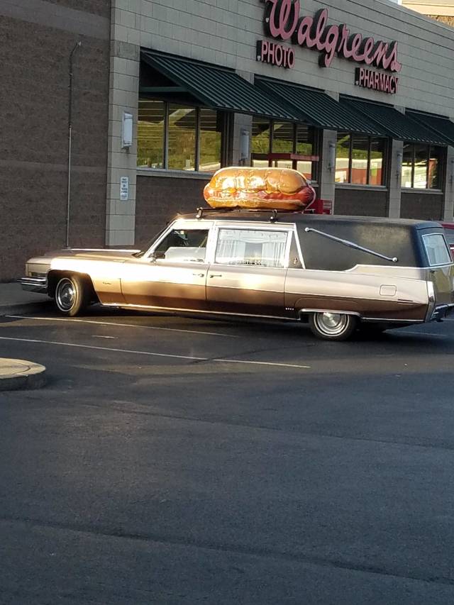Daily Picdump