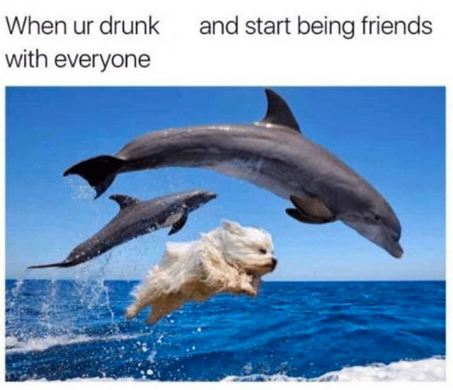 Memes With A Very High Alcohol Percentage