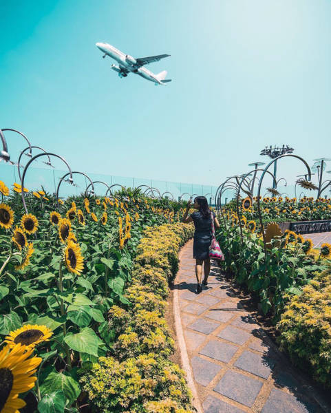 World’s Best Airport Is Like A Wonderland!