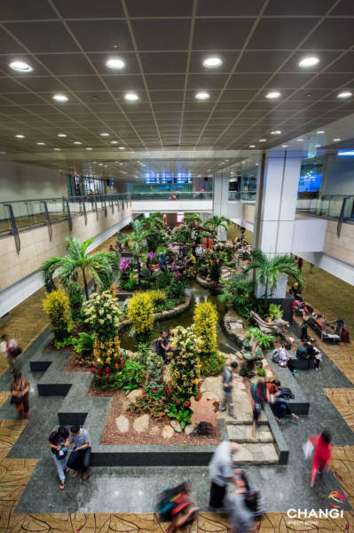 World’s Best Airport Is Like A Wonderland!