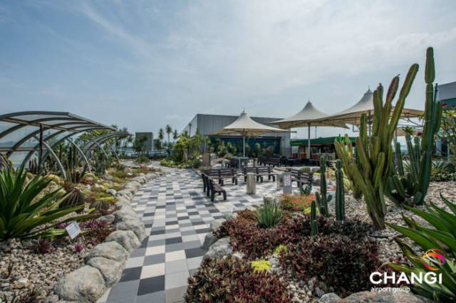 World’s Best Airport Is Like A Wonderland!