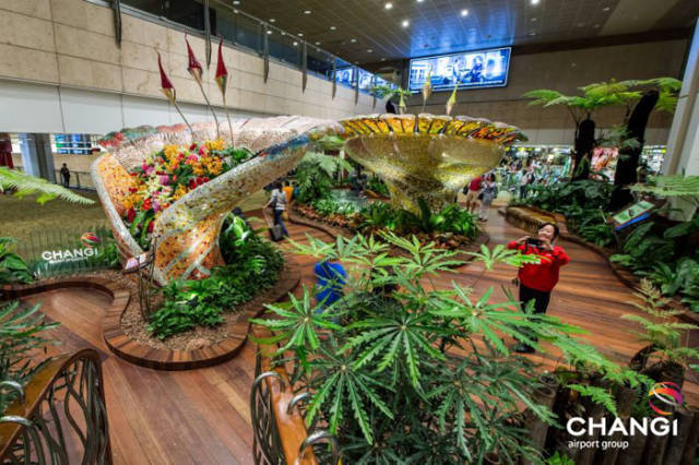 World’s Best Airport Is Like A Wonderland!