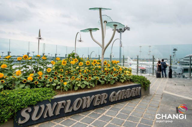 World’s Best Airport Is Like A Wonderland!