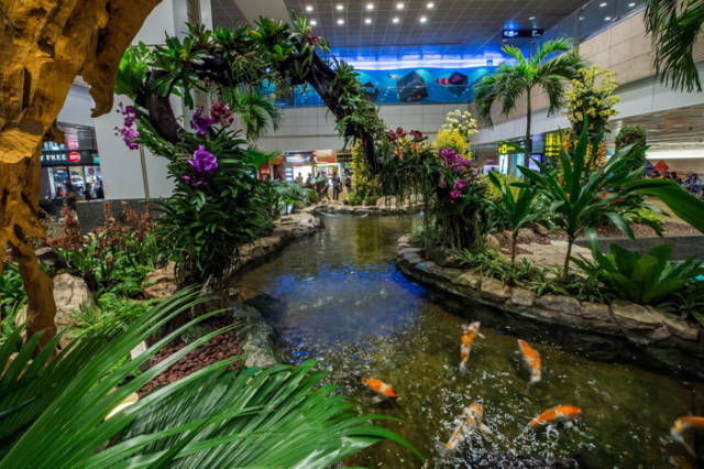 World’s Best Airport Is Like A Wonderland!