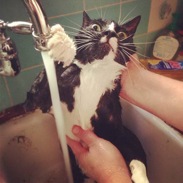Daily Picdump