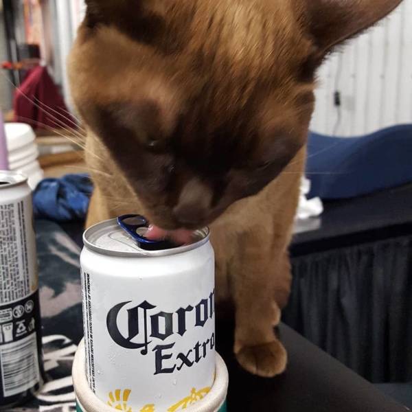 Daily Picdump