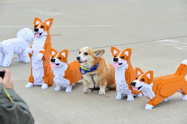 Daily Picdump