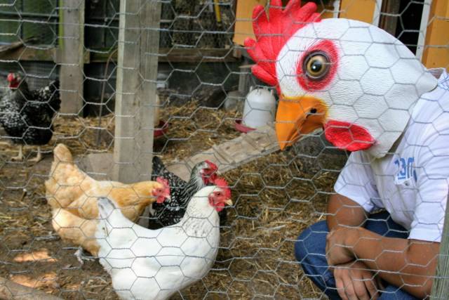 Daily Picdump