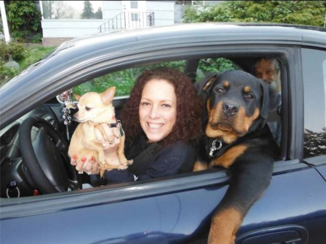 Daily Picdump