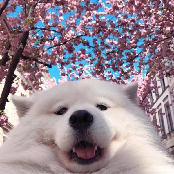 Daily Picdump