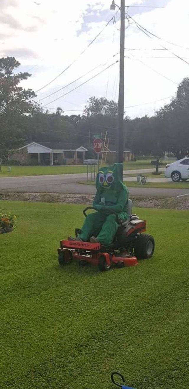 Daily Picdump