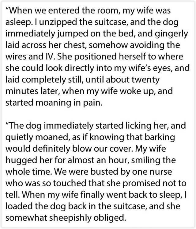 A Dog Was The Perfect Passing Gift For Her…