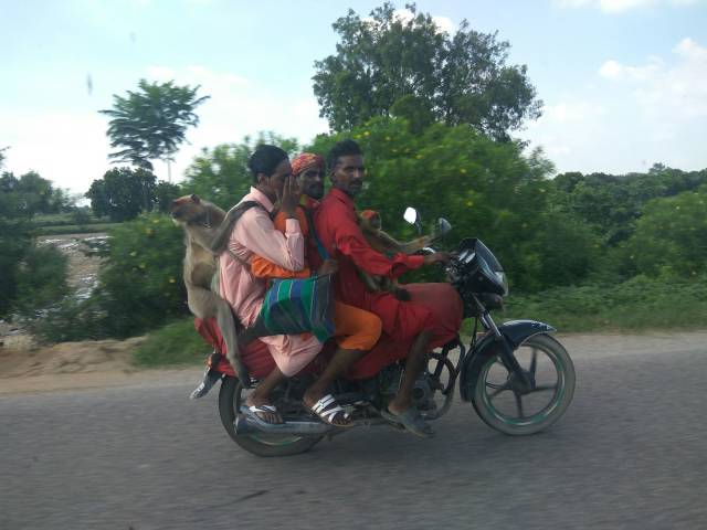 Daily Picdump