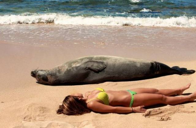 Daily Picdump