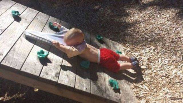 Daily Picdump
