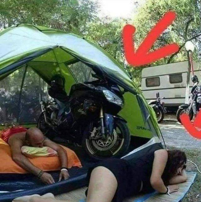 Daily Picdump