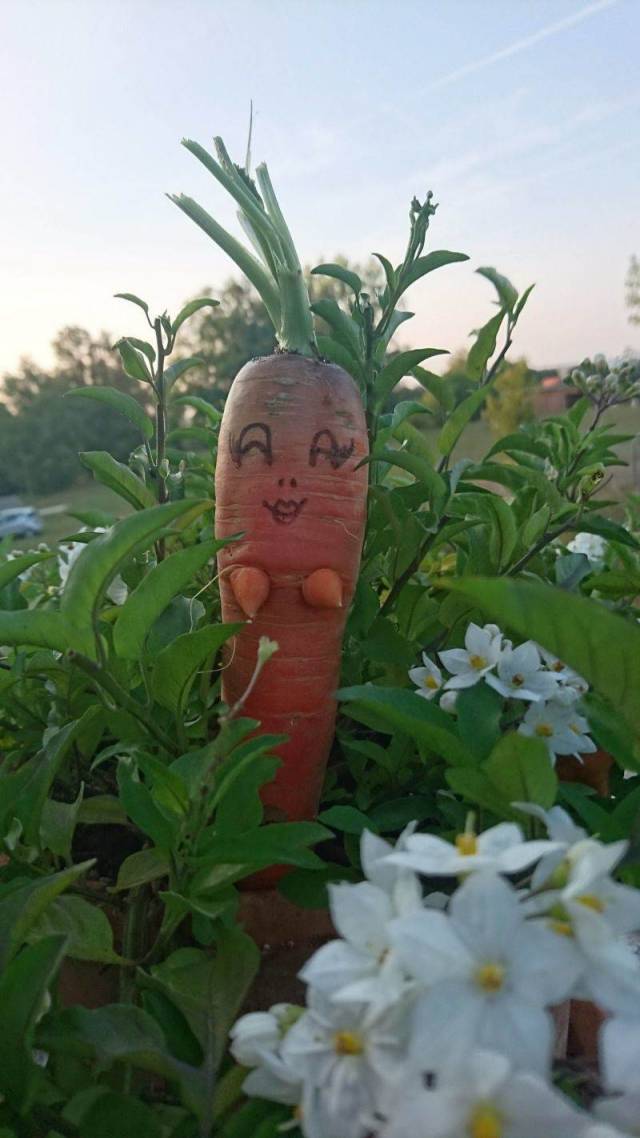 Daily Picdump