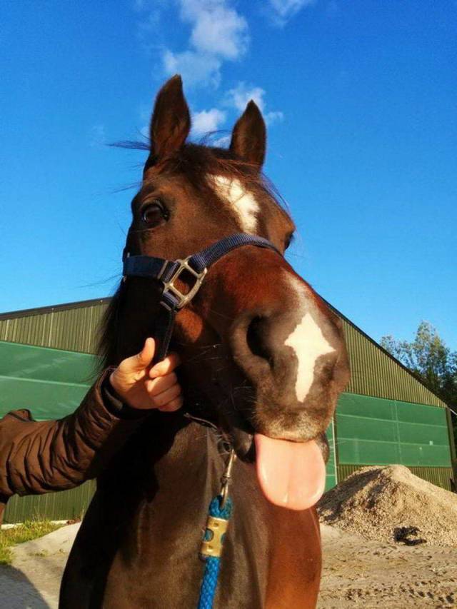 Daily Picdump