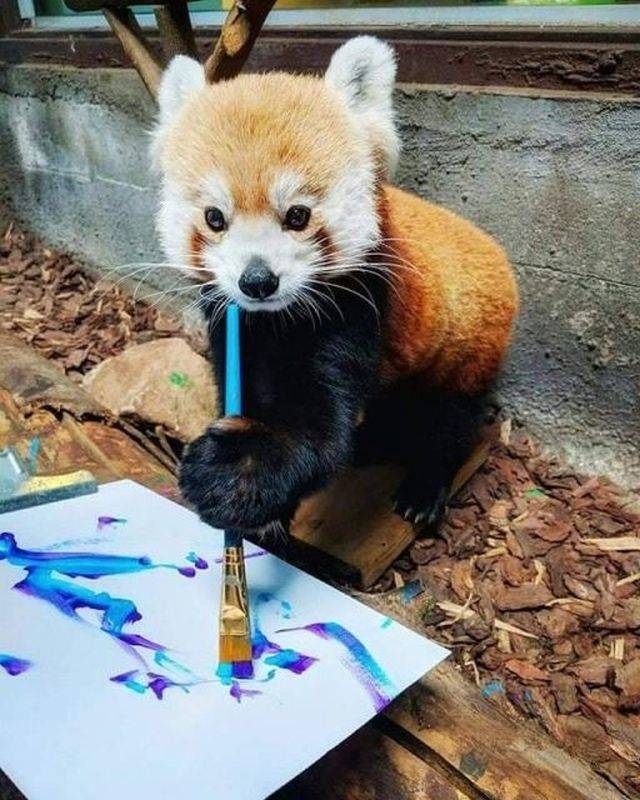 Daily Picdump