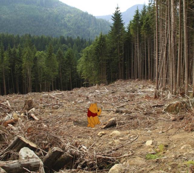Real World Has No Place For Disney Characters