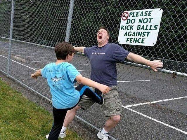 Daily Picdump