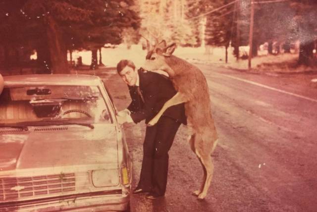 Daily Picdump