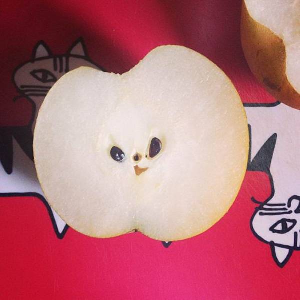 Daily Picdump