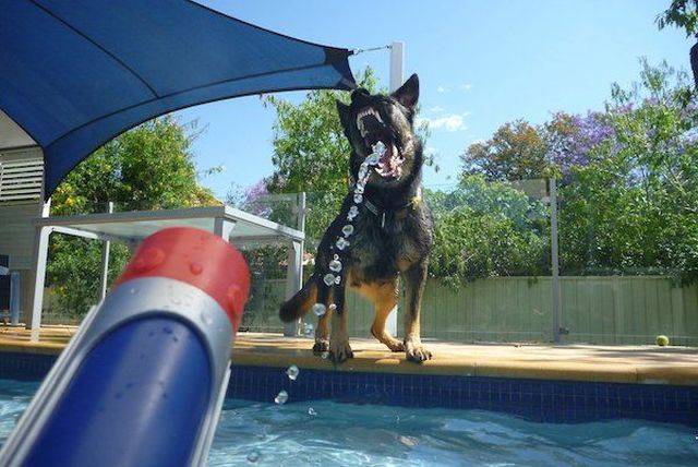 Daily Picdump