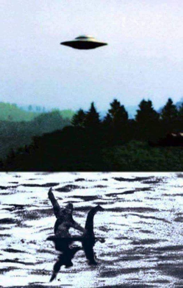 Daily Picdump