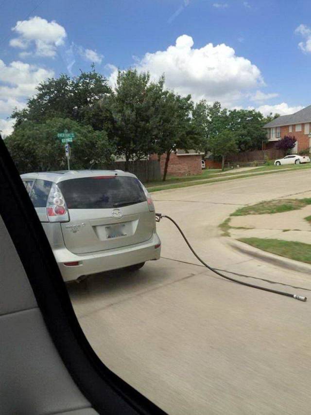 Daily Picdump