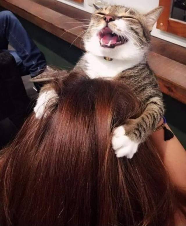 Daily Picdump