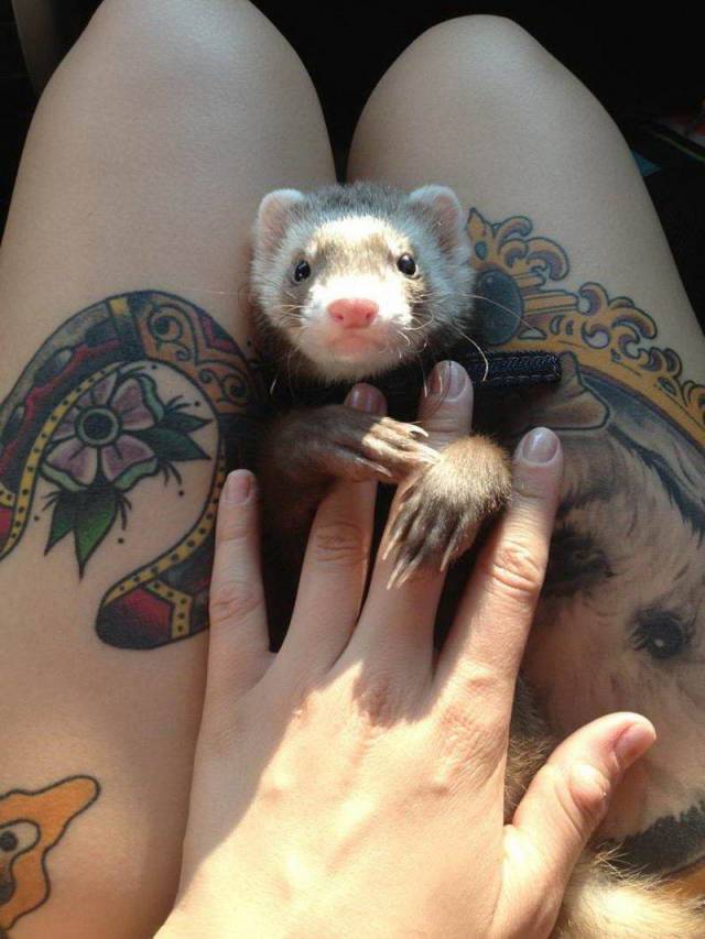 Daily Picdump