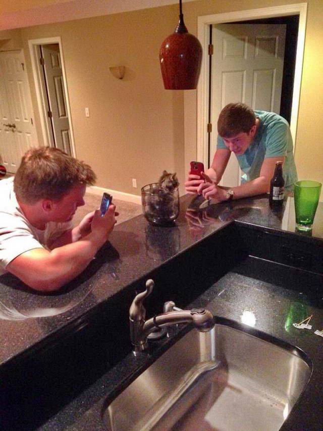 Daily Picdump