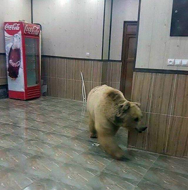 Daily Picdump